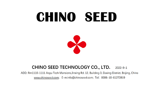 Company-profile---chino_00.jpg
